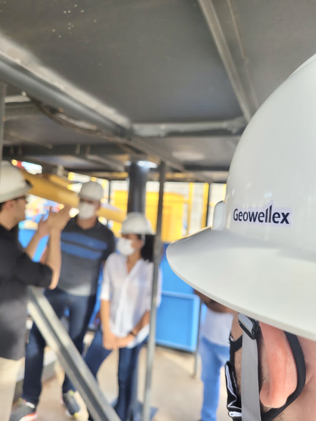 Treinamento Geowellex 1